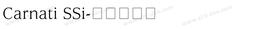 Carnati SSi字体转换